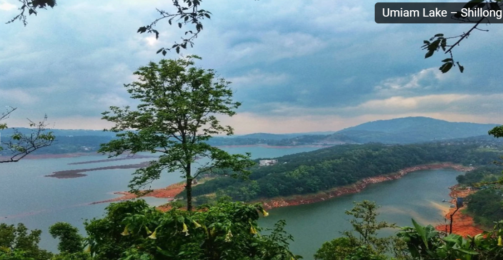  Amazing Assam trip poster