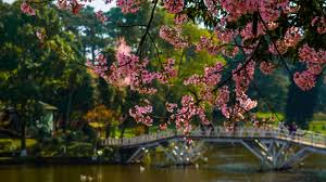 Shillong  trip poster