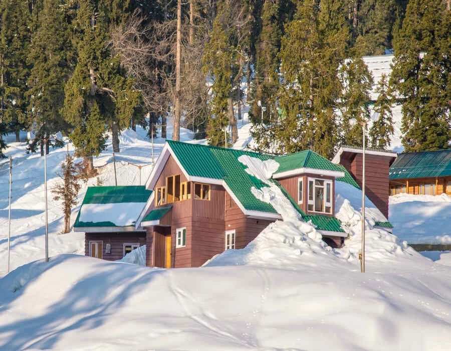 Dal Jeel Kashmir Special Packages trip poster