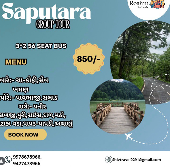 saputara trip poster